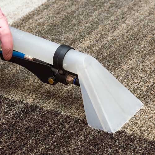 Carpet Cleaning | Staff Carpet