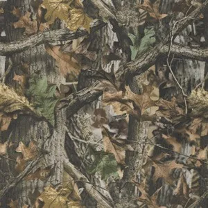 Carpet flooring | Staff Carpet