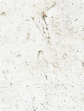 Tile & Stone | Staff Carpet