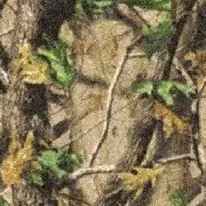 Carpet | Staff Carpet