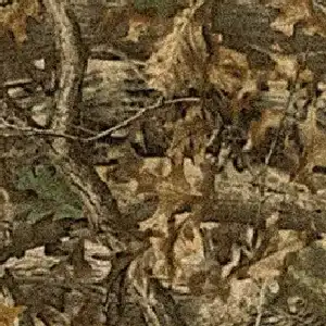 Carpet | Staff Carpet